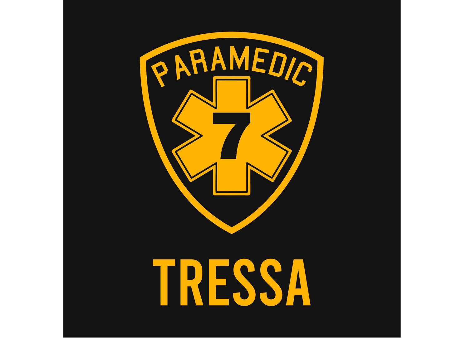 Youth Paramedic Birthday T-Shirt with Badge, Age and Name - Optional Department or City on Back